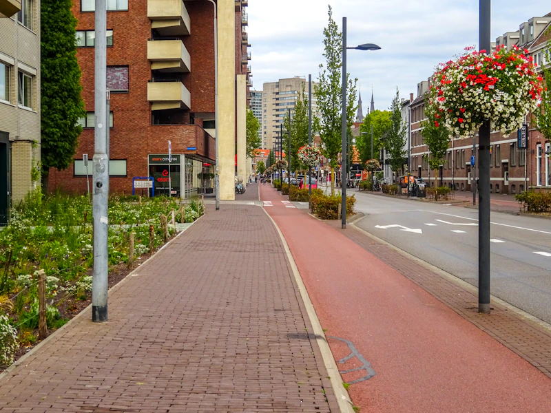 A paved walkway beside a red bike lane and street.