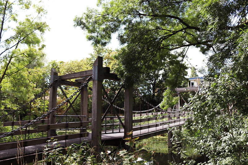 brown wooden bridge over river